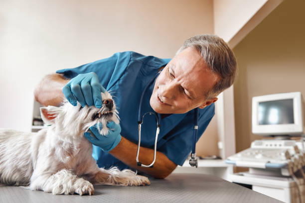 Best Emergency Dental Extractions in Lakewood, SC